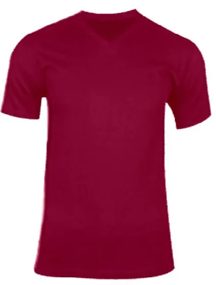 GREYSTONE Big Tall Man Cotton V-NECK Tee Shirt