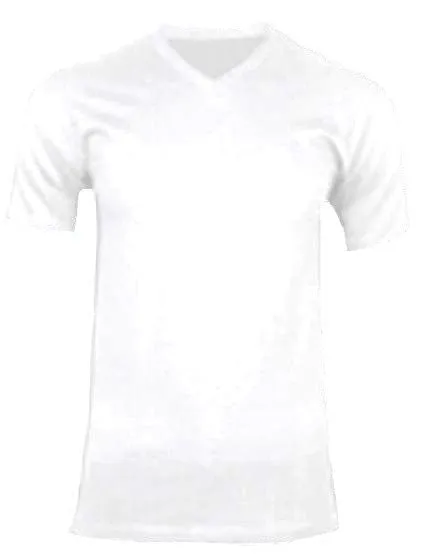 GREYSTONE Big Tall Man Cotton V-NECK Tee Shirt